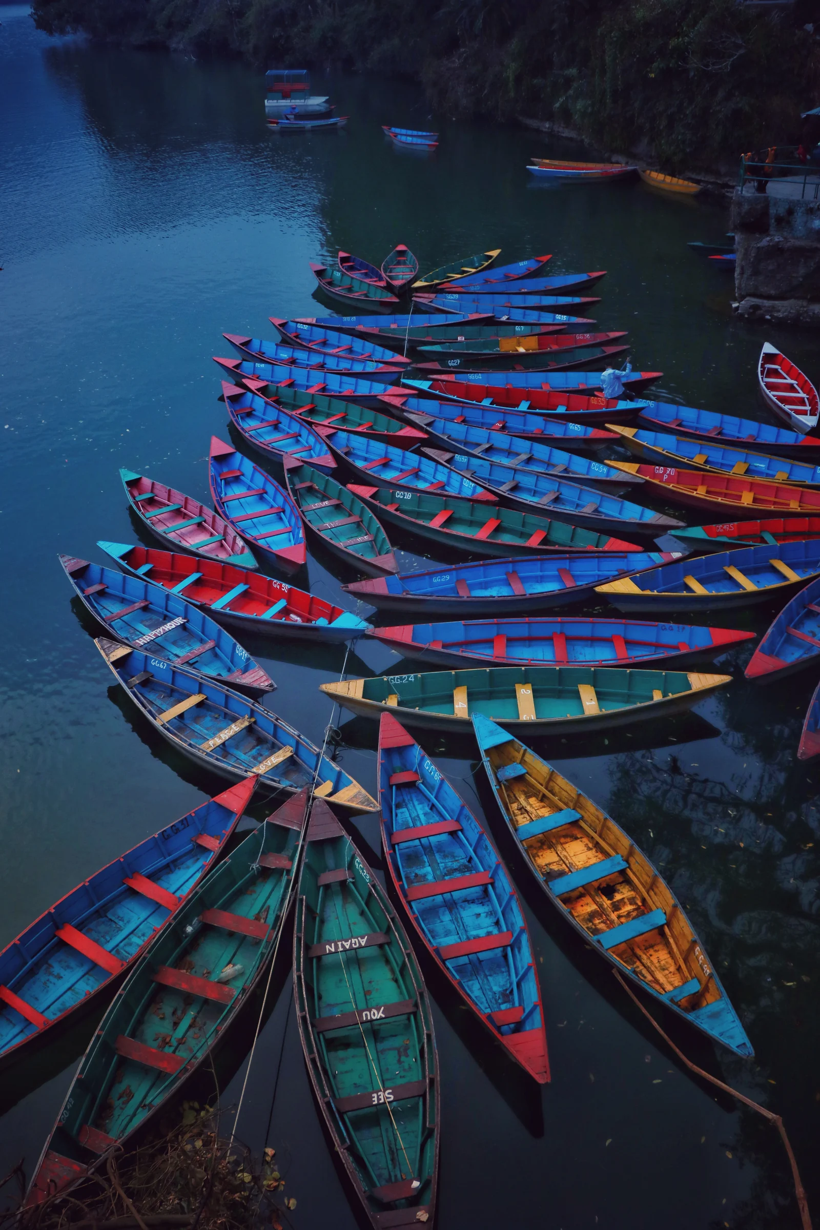 Colorful wooden boats gathered at the Phewa Lake shore.